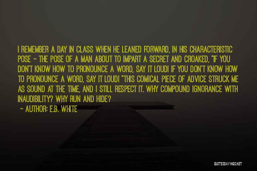 Pirrung Auctions Quotes By E.B. White