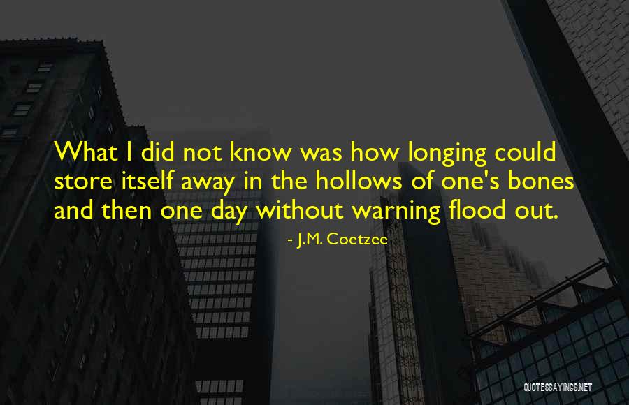 Pirzadas Quotes By J.M. Coetzee Pirzadas Quotes By J.M. Coetzee