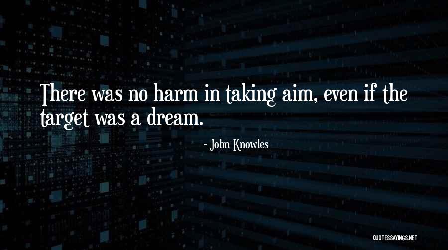 Pisanello Quotes By John Knowles Pisanello Quotes By John Knowles