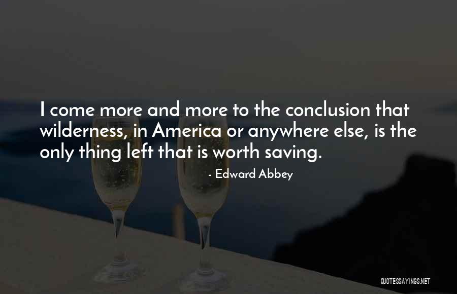 Pisara Solutions Quotes By Edward Abbey Pisara Solutions Quotes By Edward Abbey