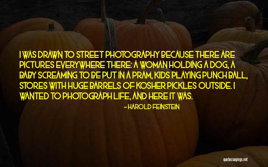 Pischinger Recipe Quotes By Harold Feinstein Pischinger Recipe Quotes By Harold Feinstein