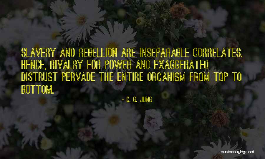 Piscitello Home Quotes By C. G. Jung Piscitello Home Quotes By C. G. Jung