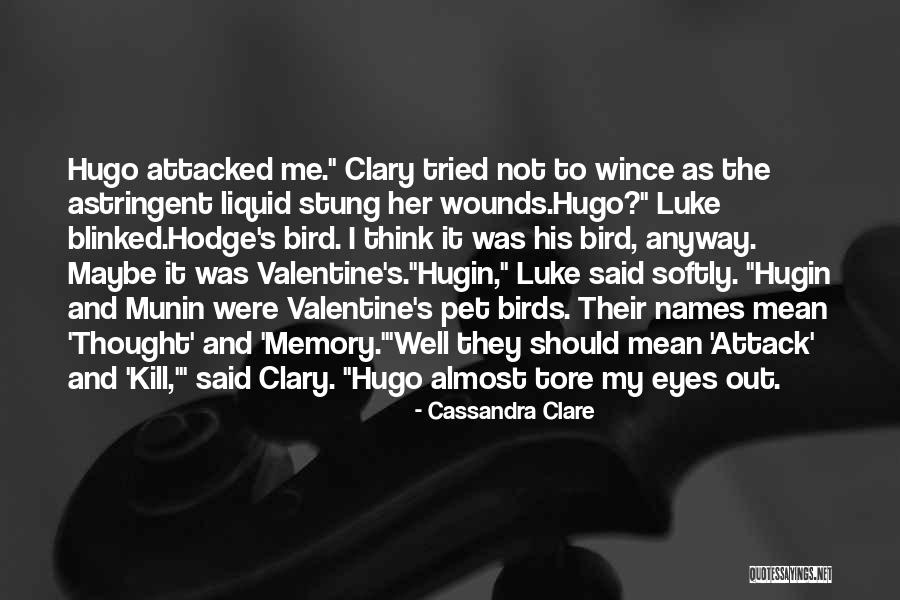 Pisicamiaumiau Quotes By Cassandra Clare