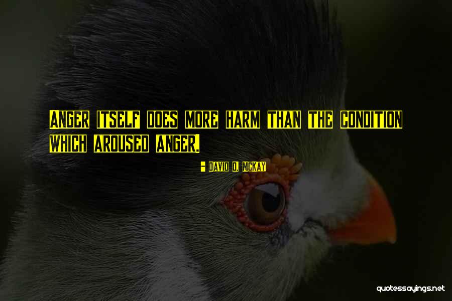 Pisillo Quotes By David O. McKay Pisillo Quotes By David O. McKay