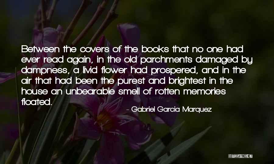 Pisos Para Quotes By Gabriel Garcia Marquez Pisos Para Quotes By Gabriel Garcia Marquez