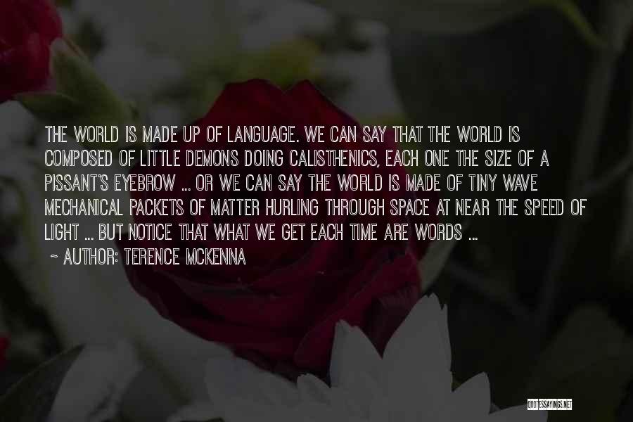 Pissant Quotes By Terence McKenna