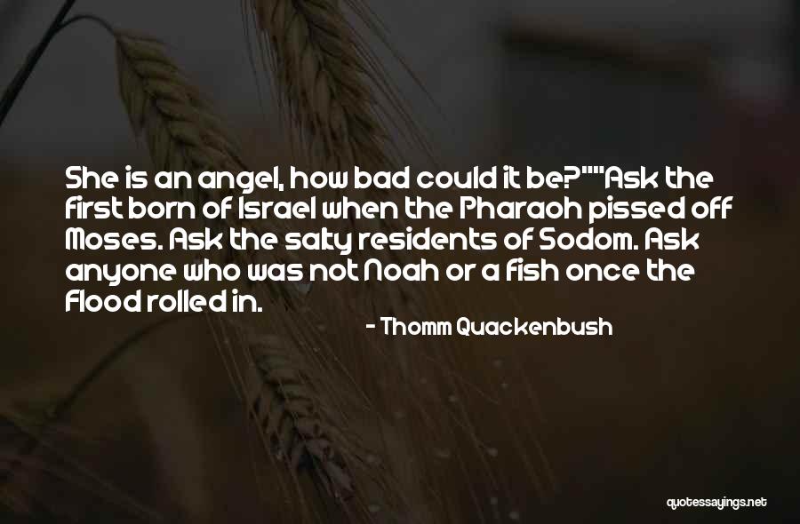 Pissed Off Quotes By Thomm Quackenbush Pissed Off Quotes By Thomm Quackenbush