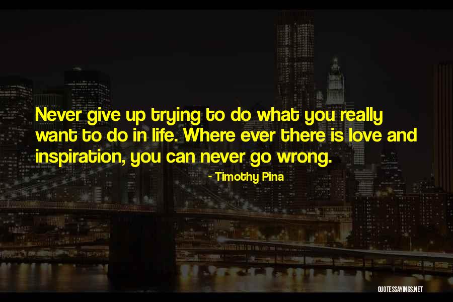 Pistol Pete Maravich Quotes By Timothy Pina Pistol Pete Maravich Quotes By Timothy Pina