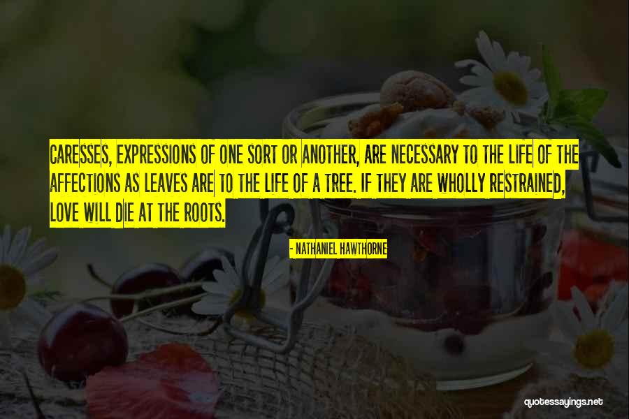 Pistolen Te Quotes By Nathaniel Hawthorne Pistolen Te Quotes By Nathaniel Hawthorne
