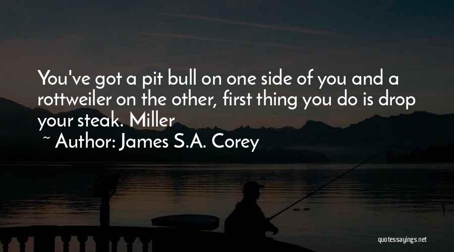 Pit Quotes By James S.A. Corey