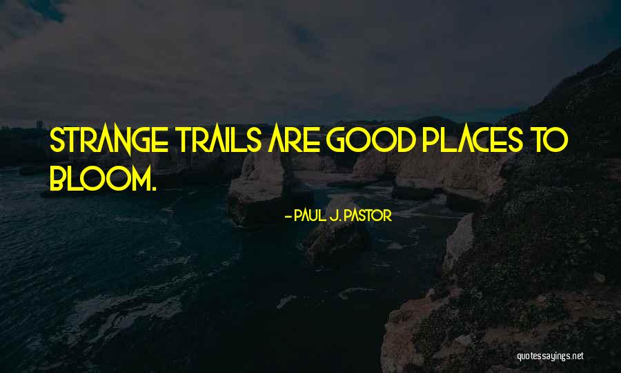 Pit Solutions Quotes By Paul J. Pastor Pit Solutions Quotes By Paul J. Pastor