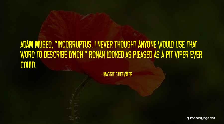 Pit Viper Quotes By Maggie Stiefvater Pit Viper Quotes By Maggie Stiefvater