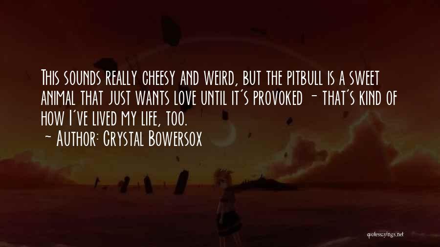Pitbull Love Quotes By Crystal Bowersox
