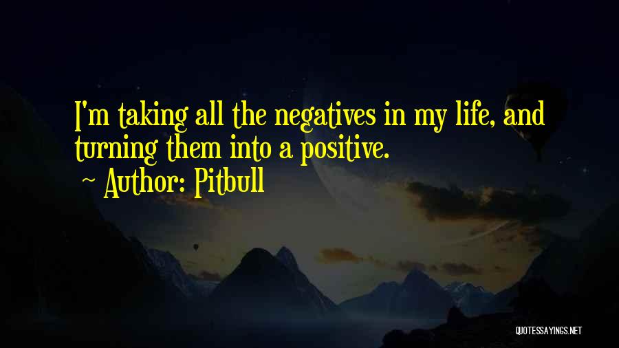 Pitbull Quotes 1014734