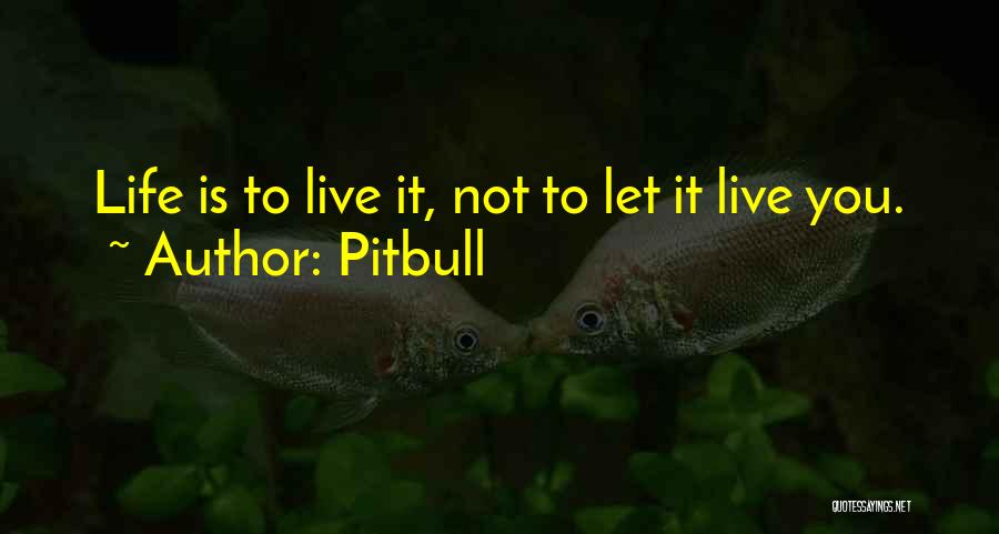 Pitbull Quotes 1470206