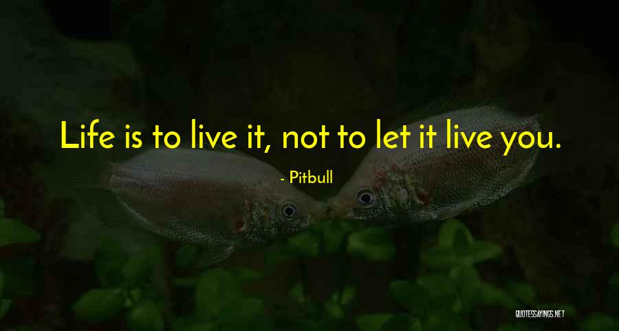 Pitbull Quotes 1470206