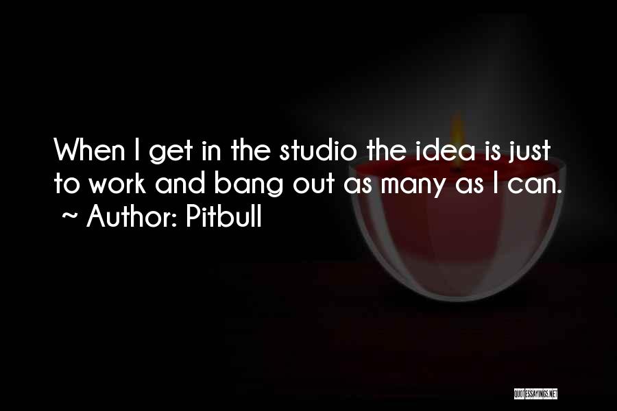 Pitbull Quotes 1516983