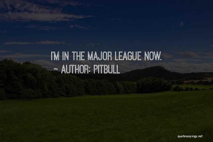 Pitbull Quotes 1704471