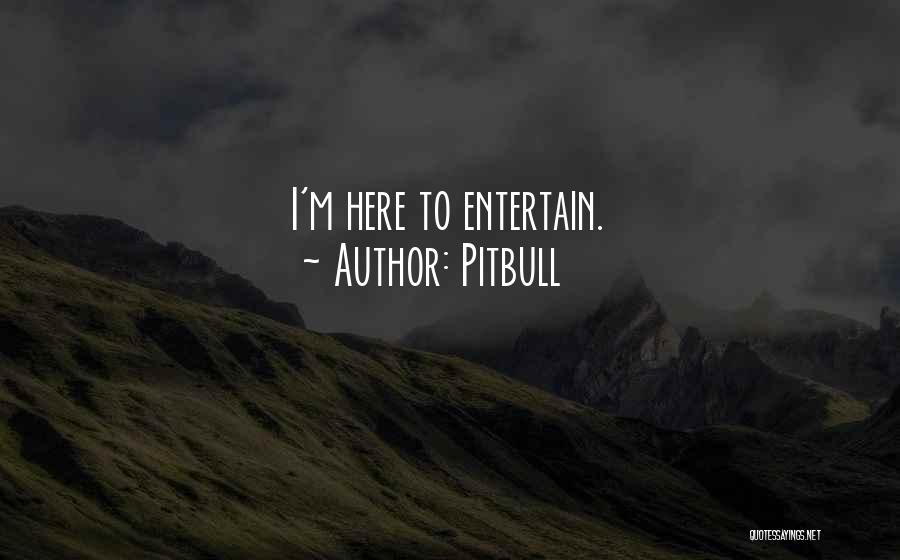 Pitbull Quotes 1751011