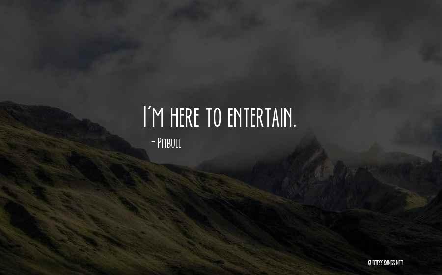 Pitbull Quotes 1751011