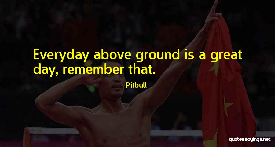 Pitbull Quotes 1835818