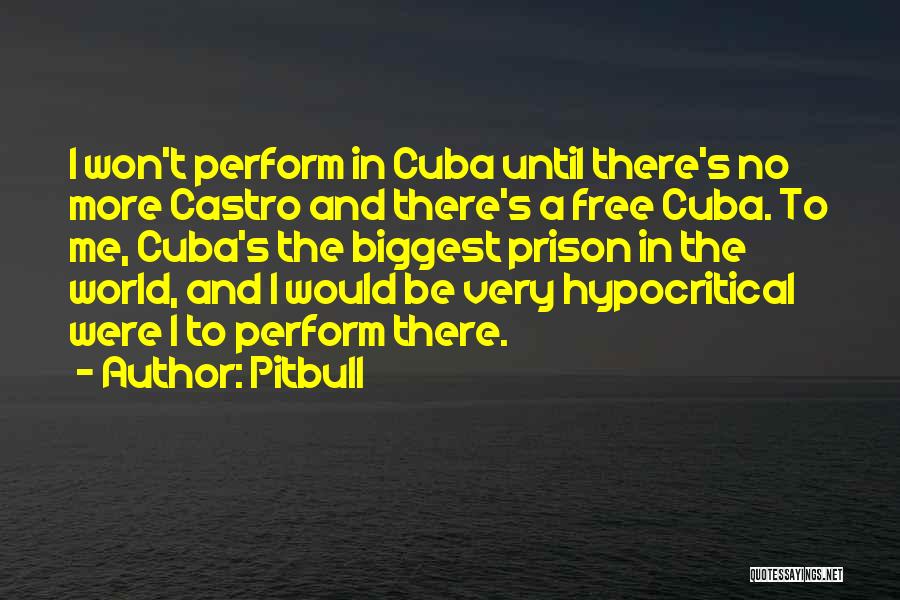 Pitbull Quotes 2194896