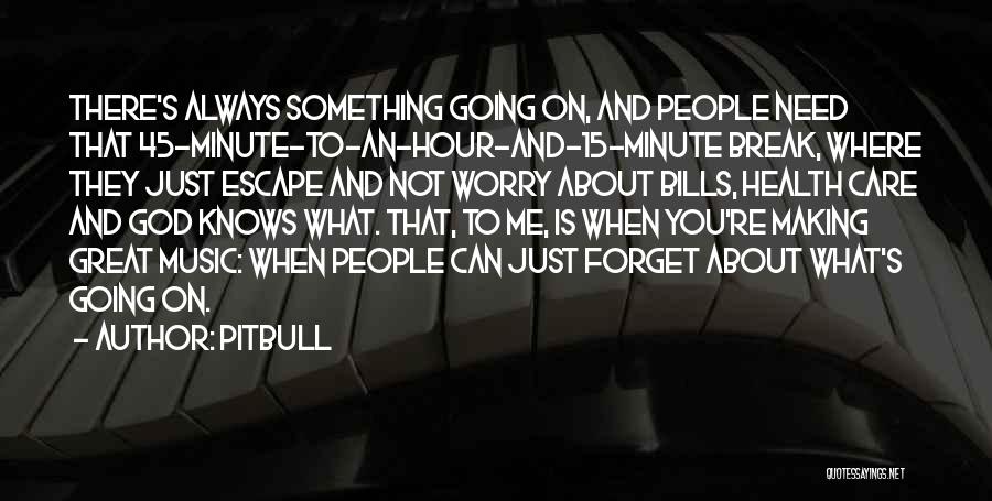 Pitbull Quotes 319313
