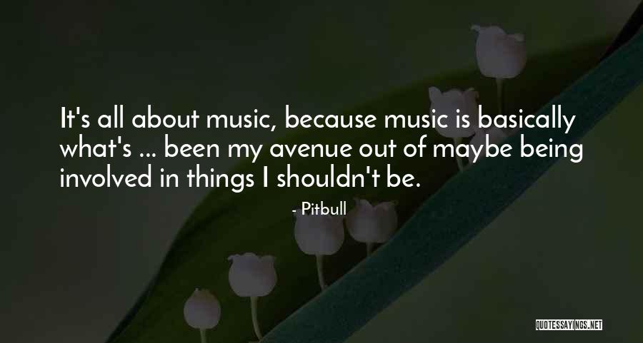 Pitbull Quotes 716913