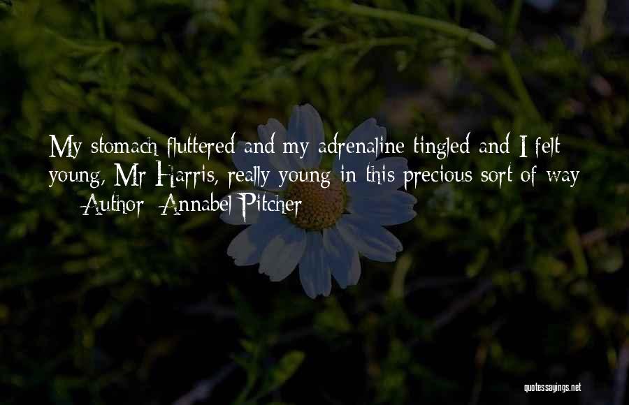 Pitcher Quotes By Annabel Pitcher