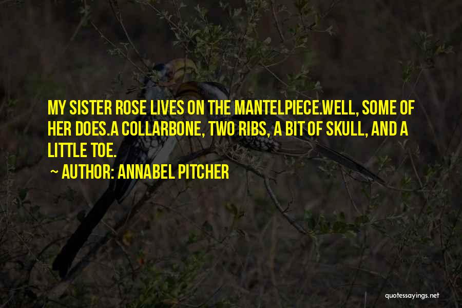 Pitcher Quotes By Annabel Pitcher