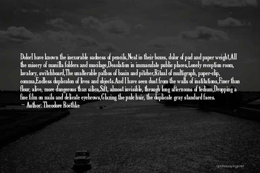 Pitcher Quotes By Theodore Roethke