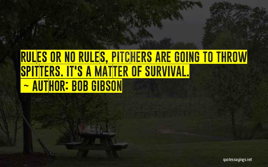 Pitchers Quotes By Bob Gibson