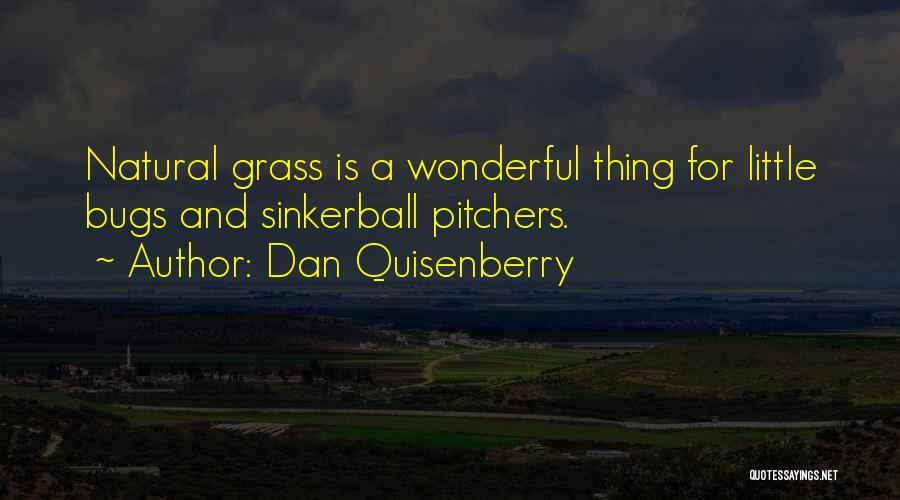 Pitchers Quotes By Dan Quisenberry