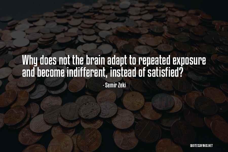 Pithiness Quotes By Semir Zeki Pithiness Quotes By Semir Zeki