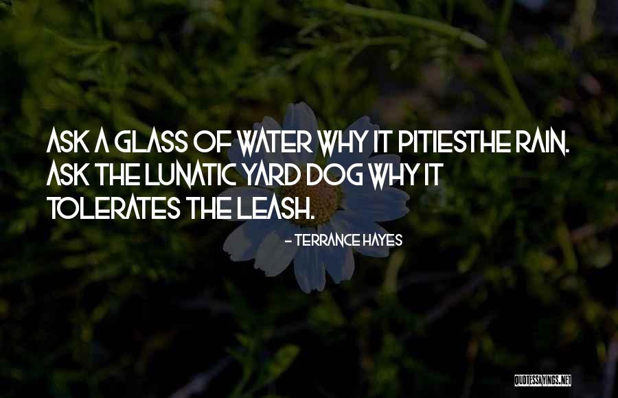Pities Quotes By Terrance Hayes Pities Quotes By Terrance Hayes