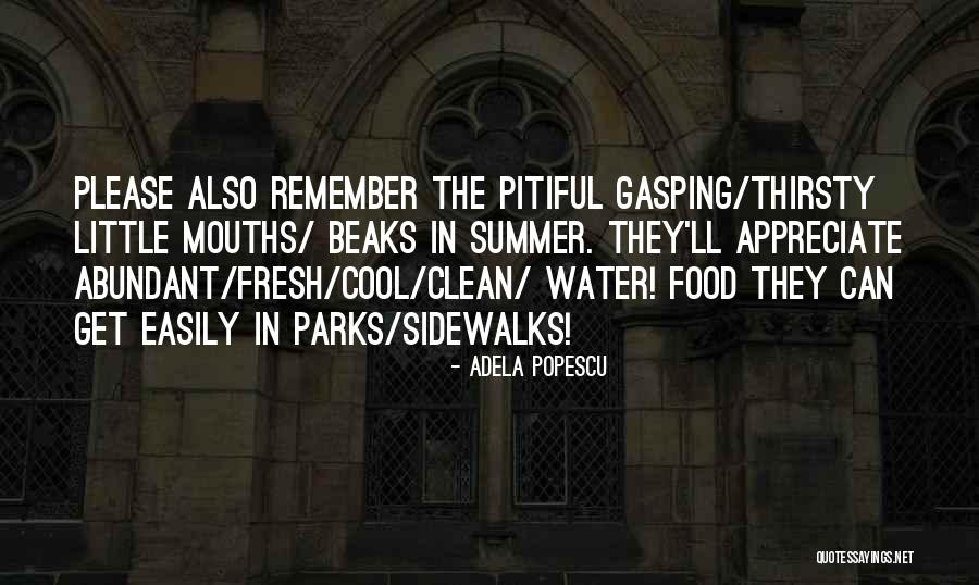 Pitiful Quotes By Adela Popescu Pitiful Quotes By Adela Popescu