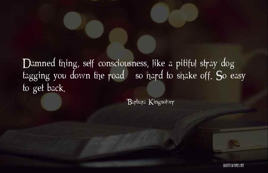 Pitiful Quotes By Barbara Kingsolver Pitiful Quotes By Barbara Kingsolver