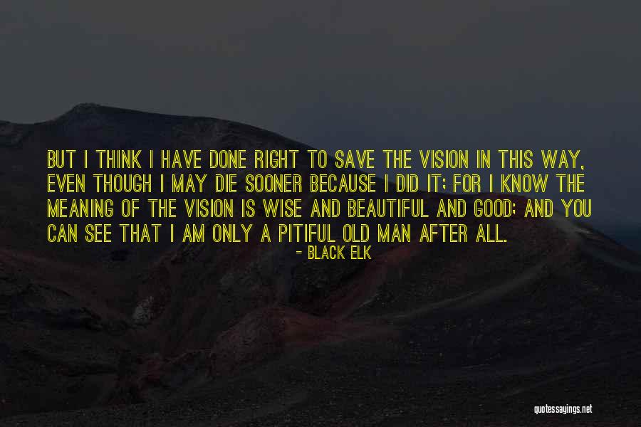 Pitiful Quotes By Black Elk Pitiful Quotes By Black Elk