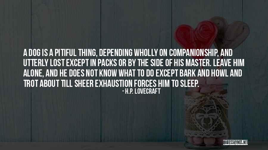 Pitiful Quotes By H.P. Lovecraft Pitiful Quotes By H.P. Lovecraft