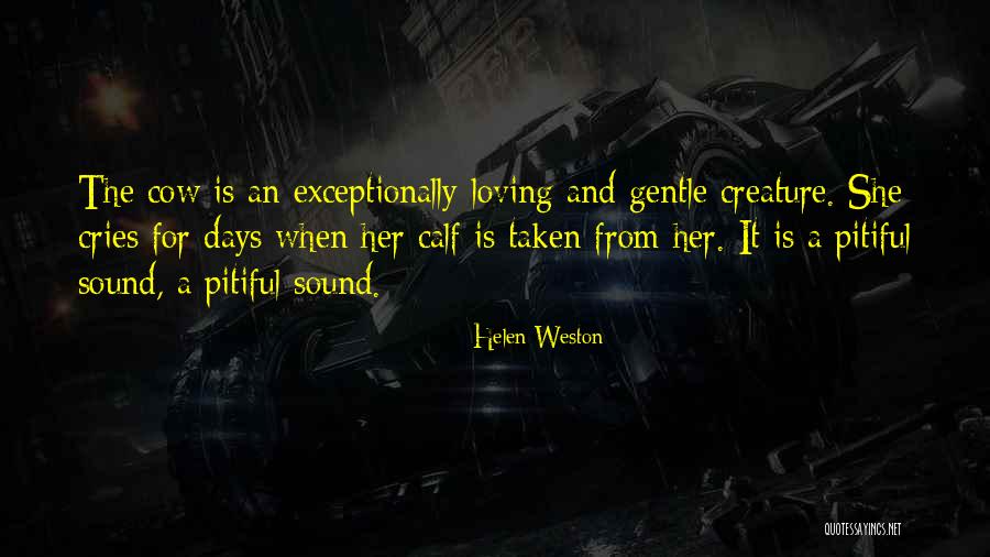 Pitiful Quotes By Helen Weston Pitiful Quotes By Helen Weston