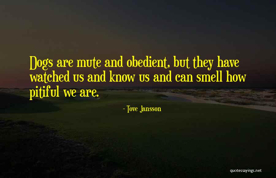 Pitiful Quotes By Tove Jansson Pitiful Quotes By Tove Jansson