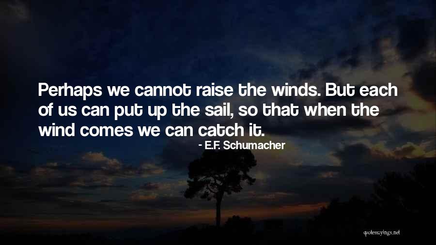 Pitiful Synonyms Quotes By E.F. Schumacher Pitiful Synonyms Quotes By E.F. Schumacher