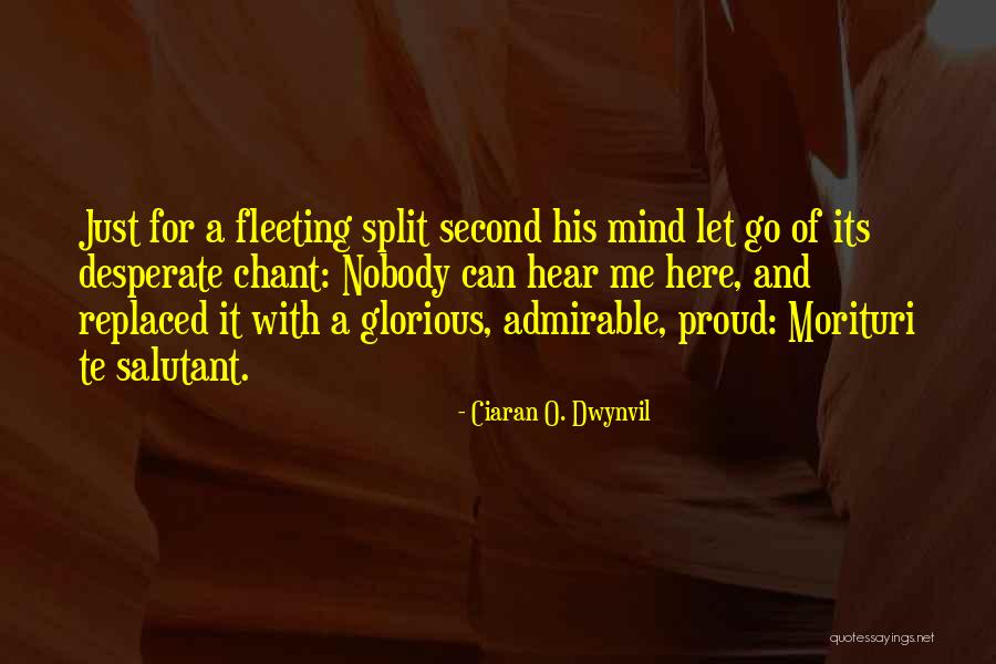 Pitjesbak Quotes By Ciaran O. Dwynvil Pitjesbak Quotes By Ciaran O. Dwynvil