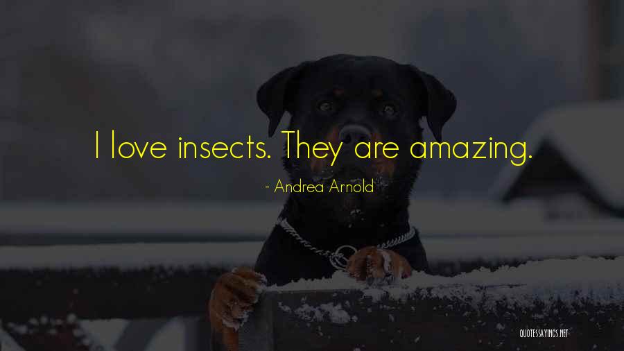 Pitruzzello Family History Quotes By Andrea Arnold Pitruzzello Family History Quotes By Andrea Arnold