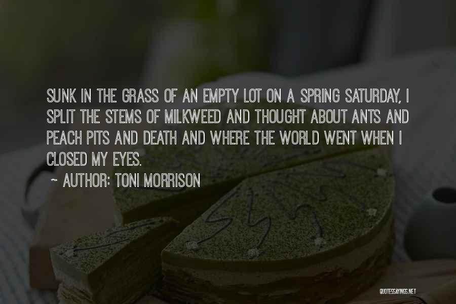 Pits Quotes By Toni Morrison