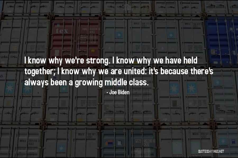 Pitse Quotes By Joe Biden Pitse Quotes By Joe Biden