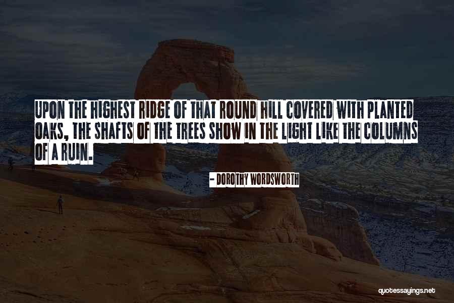 Pittance Chamber Quotes By Dorothy Wordsworth Pittance Chamber Quotes By Dorothy Wordsworth