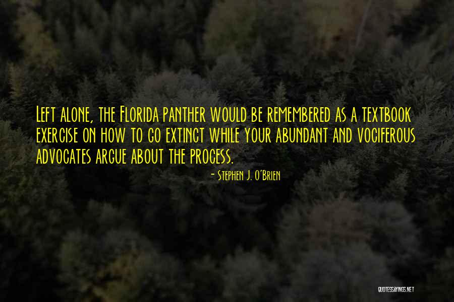 Pittore Brothers Quotes By Stephen J. O'Brien Pittore Brothers Quotes By Stephen J. O'Brien