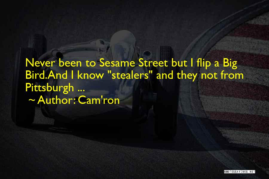 Pittsburgh Quotes By Cam'ron