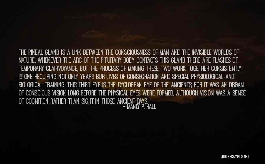 Pituitary Gland Quotes By Manly P. Hall Pituitary Gland Quotes By Manly P. Hall